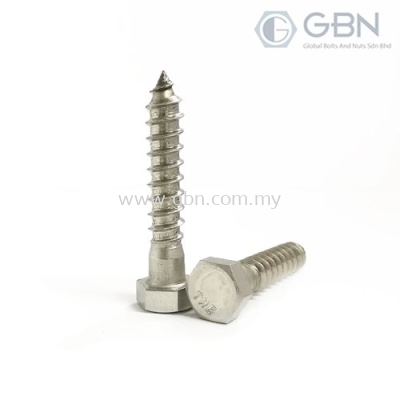 Hex Coach Screw DIN571