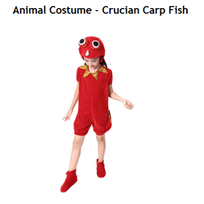 Animal Costume - Crap Fish  (Pre-Order 2 Week)