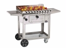 Charcoal BBQ Grill DF104 Charcoal BBQ Griller