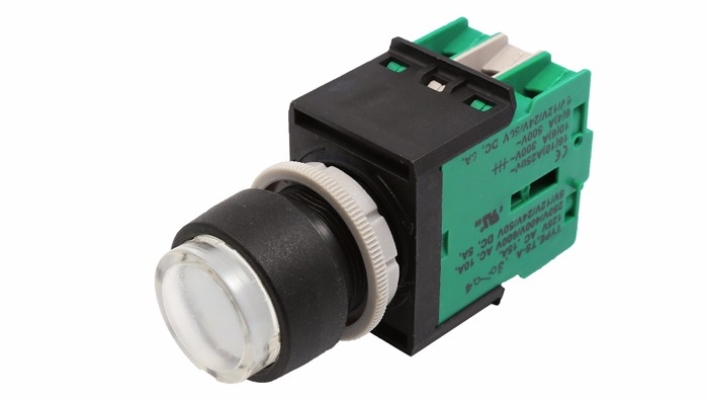 ECE ECS-P4 Extended Type Momentary Pushbutton Switch