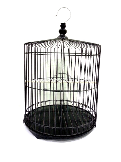 B-1313/DRC-306  Iron Bird Cage 13"