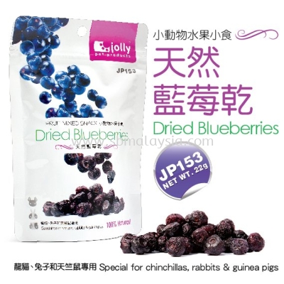 JP153 Jolly Dried Blueberries 22g