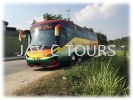 44 Seater Charter Coach Charter Bus Executive Tour Bus Rental 