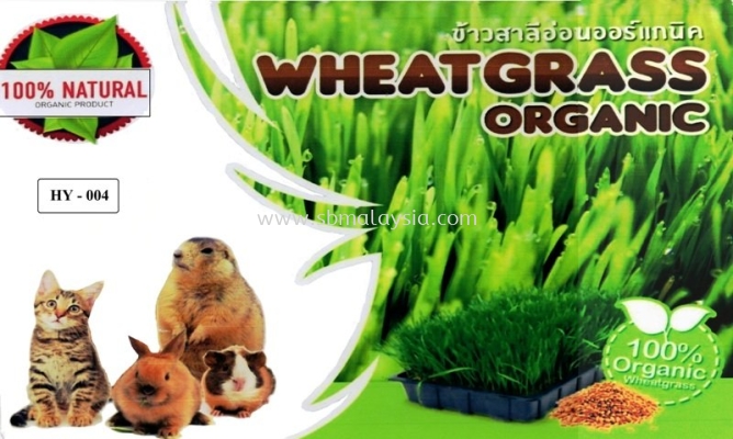 HY004 Wheat grass Organic (2 Sets)