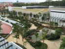  Softscape Molek Pine 4 Johor Landscape Projects