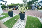  Softscape Palmiera Kuala Lumpur Landscape Projects