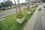  Softscape Malawati Mall Kuala Lumpur Landscape Projects