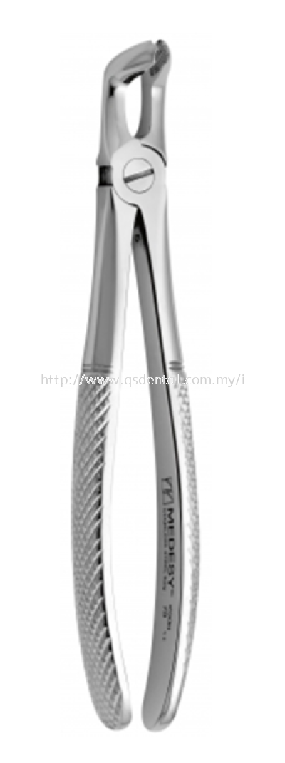 Lower third teeth forcep 2500/79