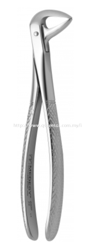 Lower roots and incisors 2500/74
