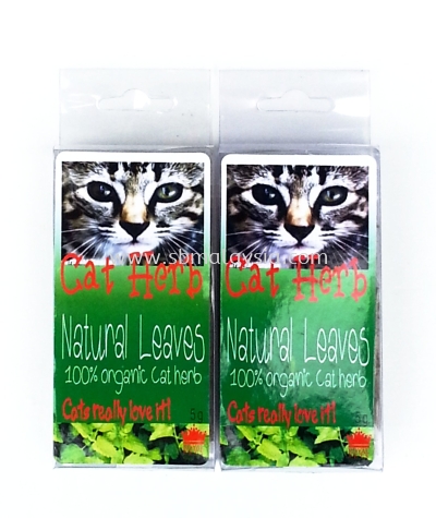 Cat Herb ( Natural Leaves )			