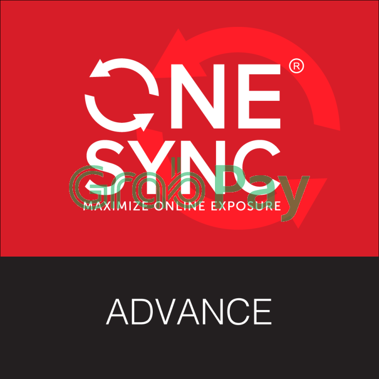 Web Design - ONESYNC Advance 1 Year ONESYNC Company Website