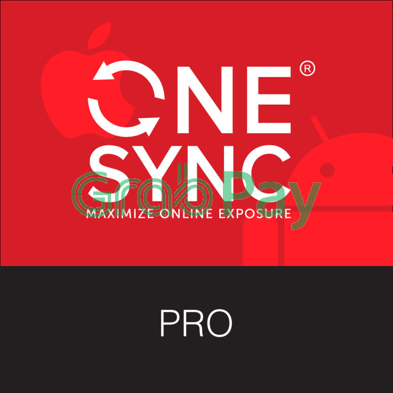 Web Design - ONESYNC Pro 2 Year ONESYNC Company Website