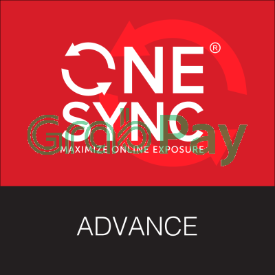 Web Design - ONESYNC Advance 2 Year