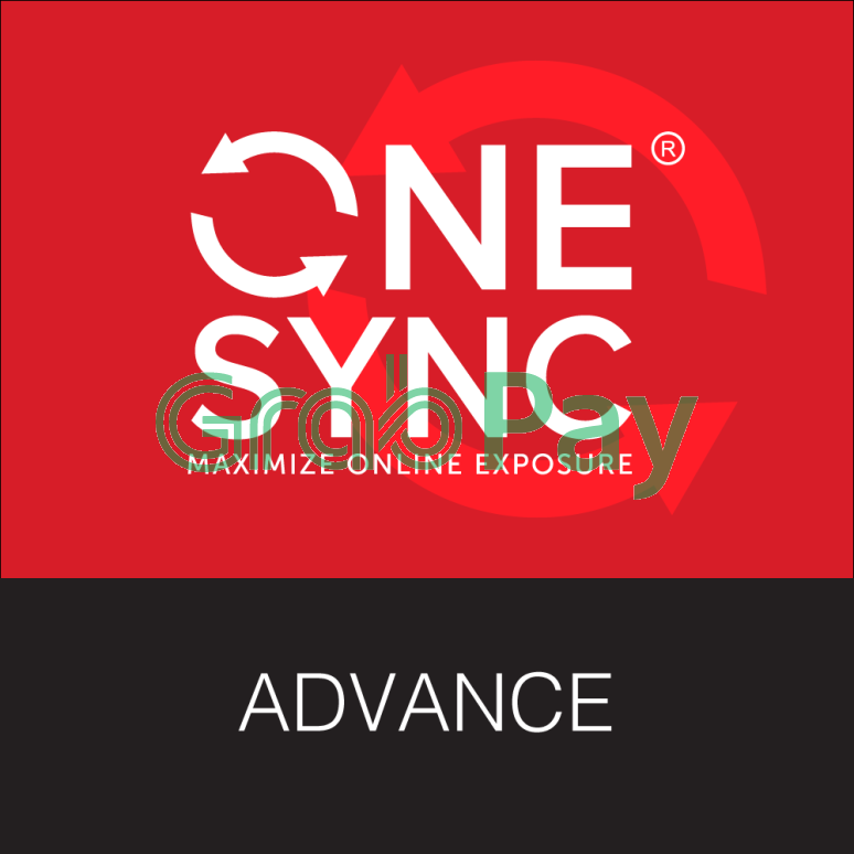 Web Design - ONESYNC Advance 2 Year ONESYNC Company Website