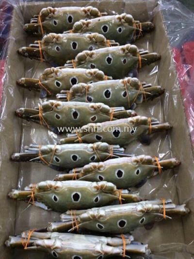 Three Spot Crab 