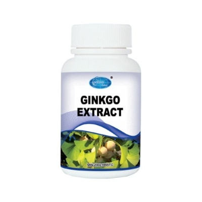 H026 GINKGO EXTRACT   H026 syӾA