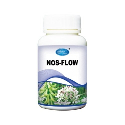 H017 NOS-FLOW   H017 鱦