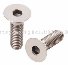 Hex Socket Flat Countersunk Head Cap Screw (CSK)