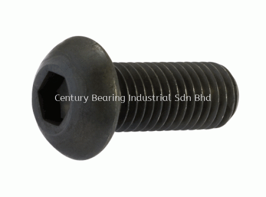 Hex Socket Button Head Cap Screw