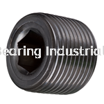 Hex Socket Pipe Plug