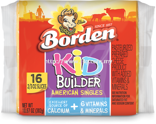 Borden Kid Builder American Singles 