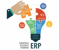 Enterprise Resource Planning (ERP) Enterprise Resource Planning (ERP) Information Technology Division