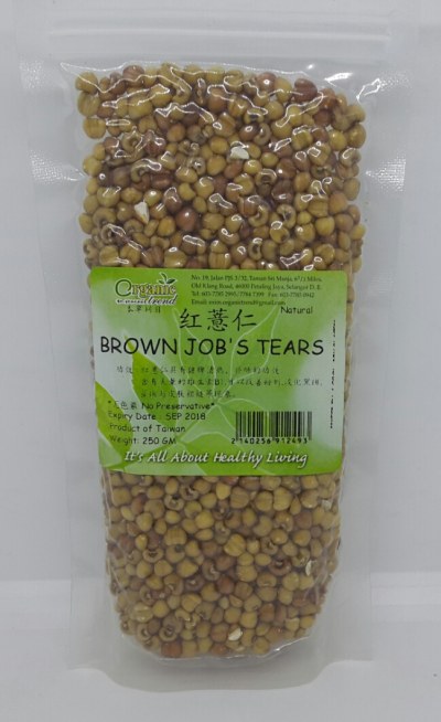 BROWN JOB'S TEARS-޲