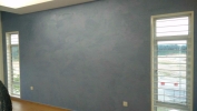 Wall Painting  Special Effect Painting House Painting Service