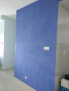 Wall Painting  Special Effect Painting House Painting Service