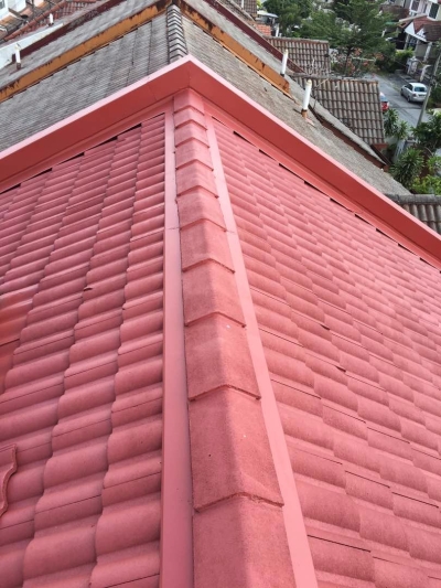 Residential Roofing Painting