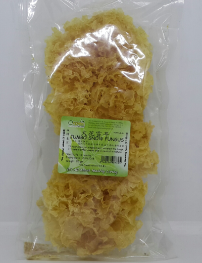 JUMBO SNOW FUNGUS*ѩ