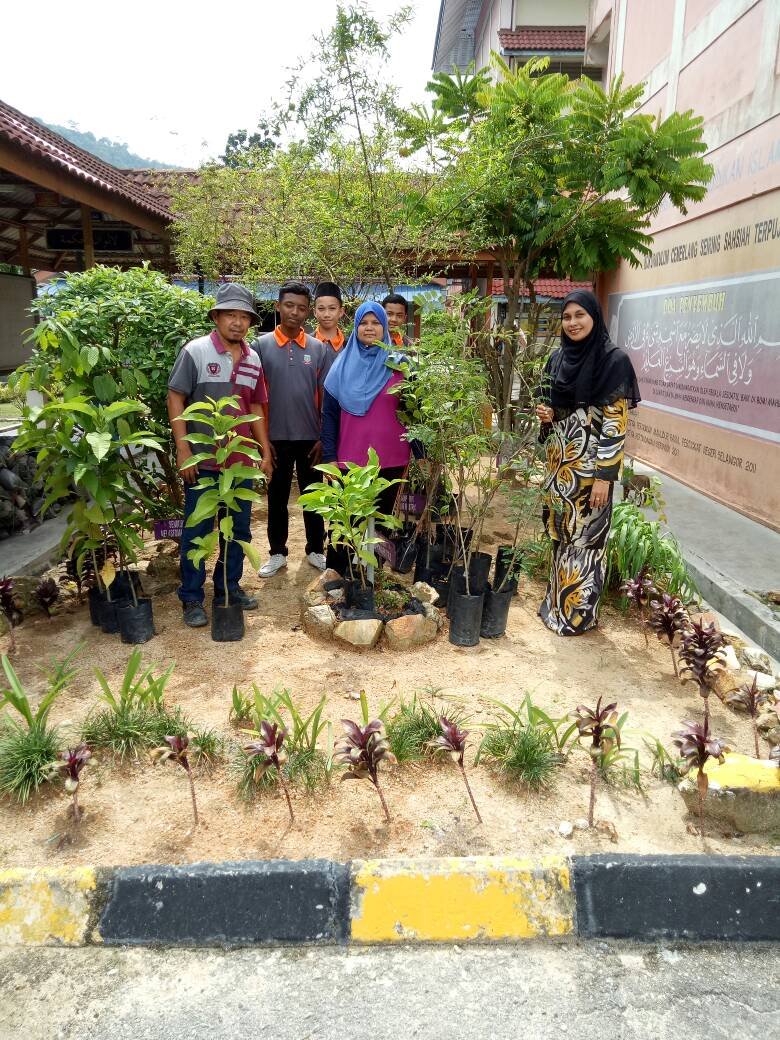 UPDATE PLANT A TREE 28.10.2017