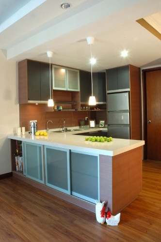 Projects 16 (1 Pictures) Modern Contemporary Kitchen Cabinet