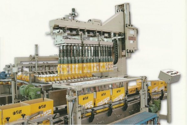 Automatic Carton Packer RP Series