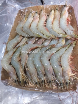 Frozen Shrimp Selangor, Malaysia, Kuala Lumpur (KL), Klang ...