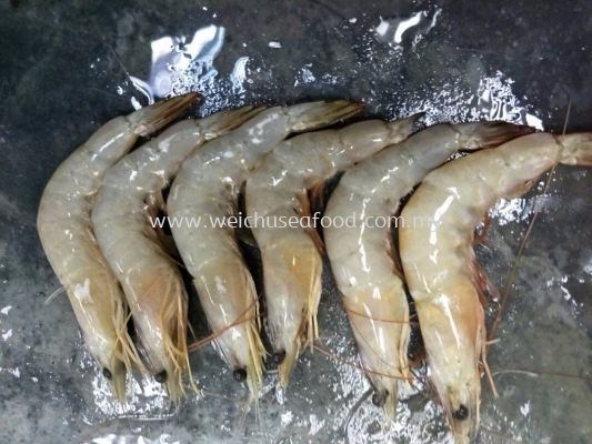 Fresh Prawn