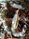 Fresh Sea Prawn (Udang Bunga) Frozen Shrimp