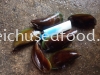 Green Mussel Frozen Clam