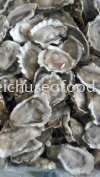 Half Shell Oyster Frozen Clam