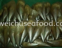 Pinna Shell Fish (Panggang Pulut) Frozen Clam