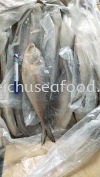 IKAN TERUBOK Frozen Fish