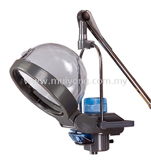 DY-308L Hair Steamer with Hanger