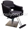 Hairstyling Chair Hairstyling Chair Hairstyling Chairs & Basin