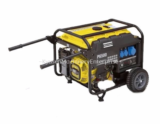 Portable generator