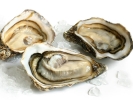 Half Shell Oysters Frozen Shell English Version