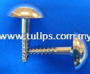 Big Head Mirror Screw