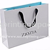  Paper bag (Art-card or Kraft paper) / Tent card / Standee / Wobbler