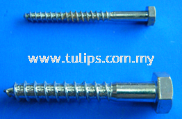 Hex Wood Screw