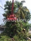  Tree Cutting Service