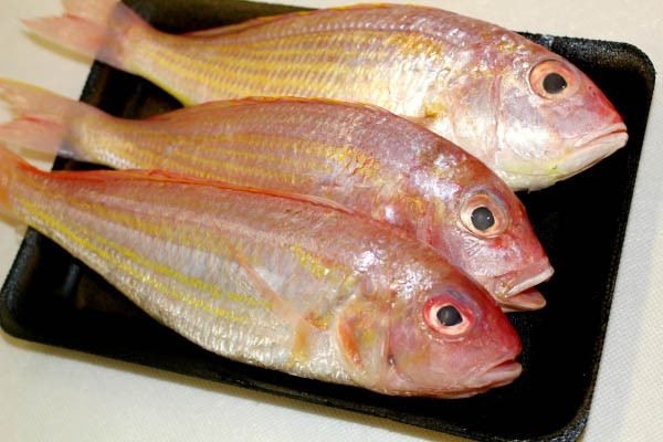 Ikan Kerisi